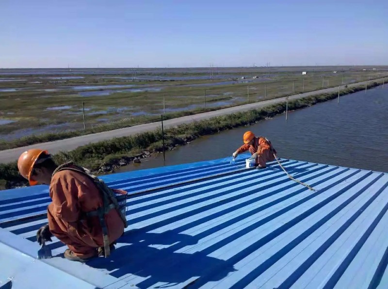 费县彩钢瓦屋面防腐翻新